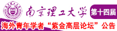 大鸡吧操我在线播放南京理工大学第十四届海外青年学者紫金论坛诚邀海内外英才！